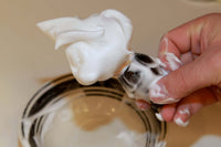 Trade Winds - Shaving Soap - Chiseled Face